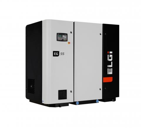 ELGI series compressor Model  EG55