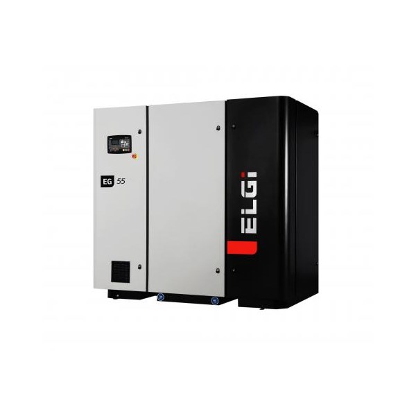 ELGI series compressor Model  EG55