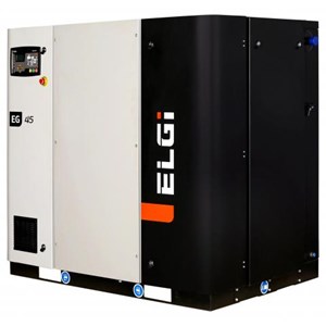 ELGI series compressor Model  EG45