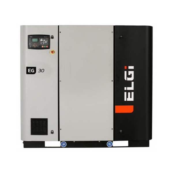 ELGI series compressor Model  EG30