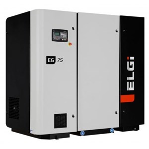 ELGI series compressor Model  EG75
