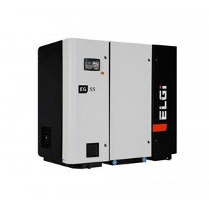 ELGI series compressor Model  EG55