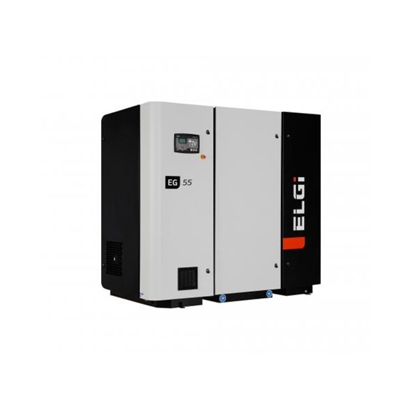 ELGI series compressor Model  EG55