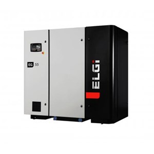ELGI series compressor Model  EG55