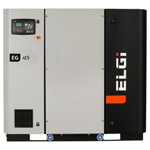 ELGI series compressor Model  EG45