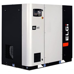 ELGI series compressor Model  EG45