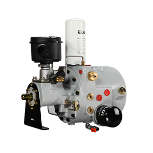 Elgi Compressor EN motor